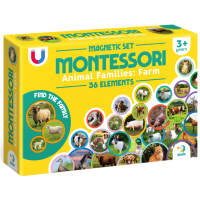 ��������� ���� �������� ������ ������: ����� 