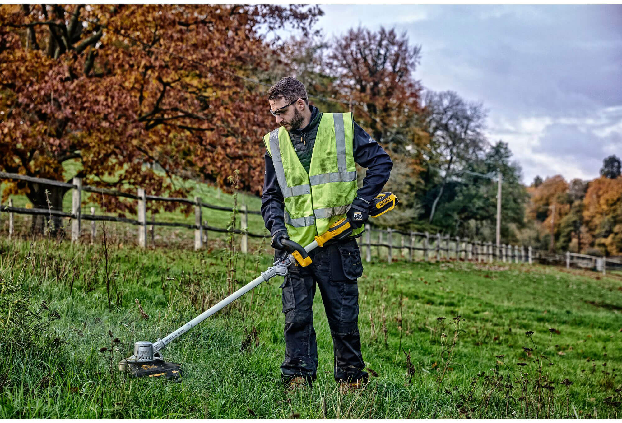 ���� �������������� ����������� DeWALT DCMST561P1 
