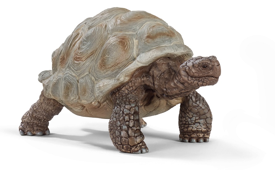 �������-������� Schleich ó�������� �������� 