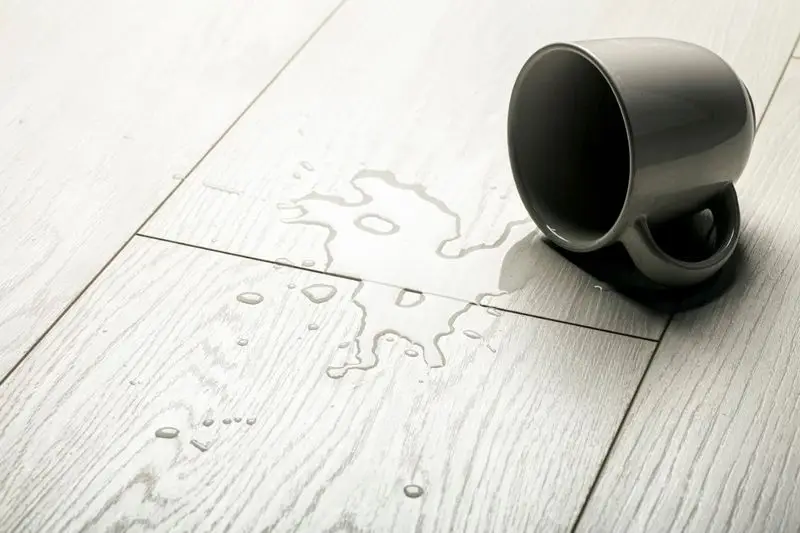 ������� Kronopol Fiori Aqua Zero  ������ � ������ ����, �������, ������� �����������