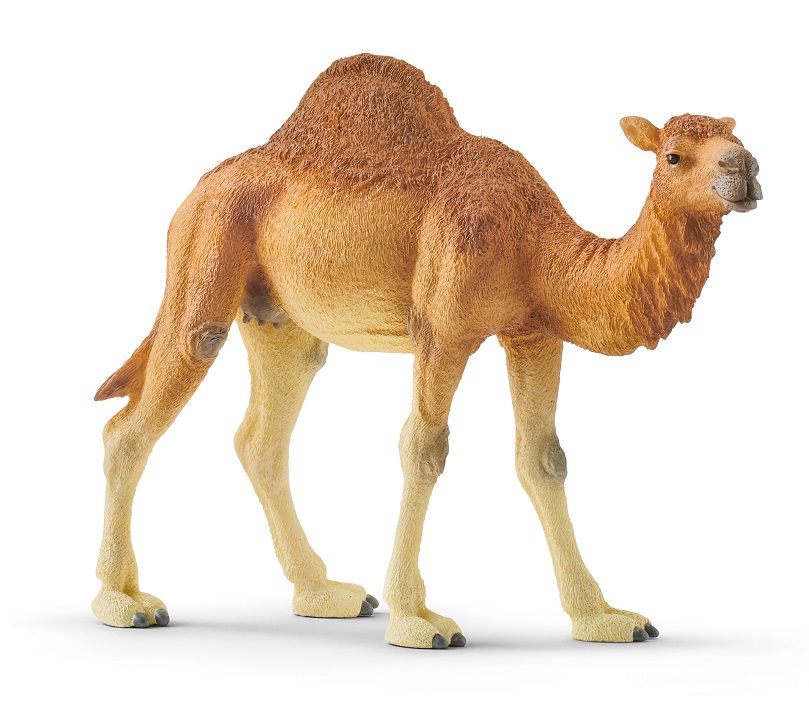 �������-������� Schleich �������� 
