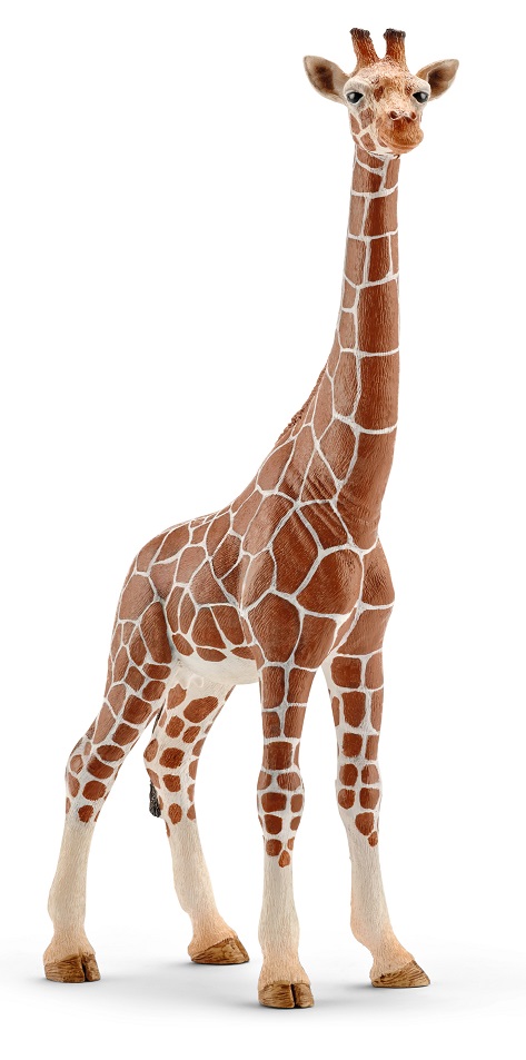 �������-������� Schleich ������ ����� 