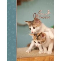 ������ UFO 10x15x200 PP-46200 Pussycat8 