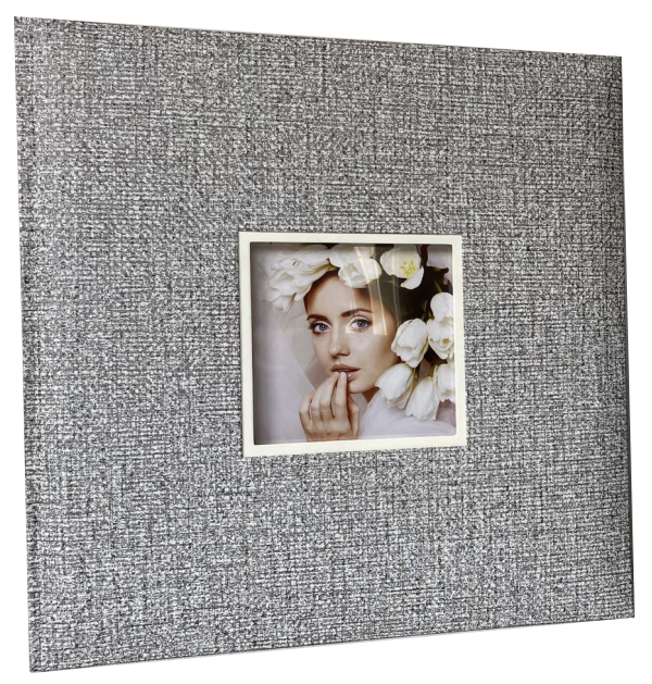 ������ EVG 20sheet S29x32 DOME SILVER 