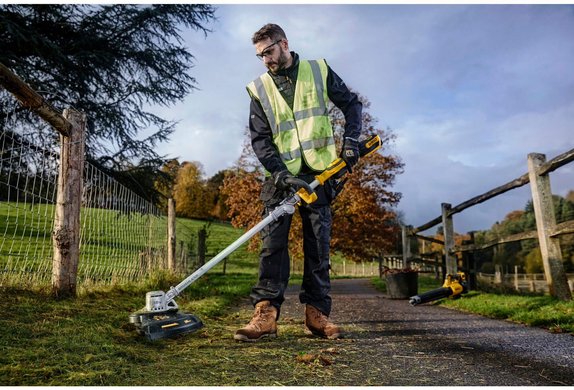 ���� �������������� ����������� DeWALT DCMST561P1 