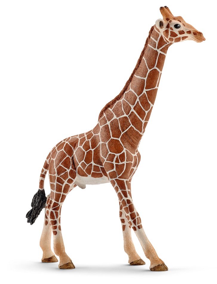 �������-������� Schleich ����� 