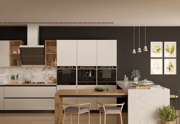 ������� ���� Smeg SF6101VN 