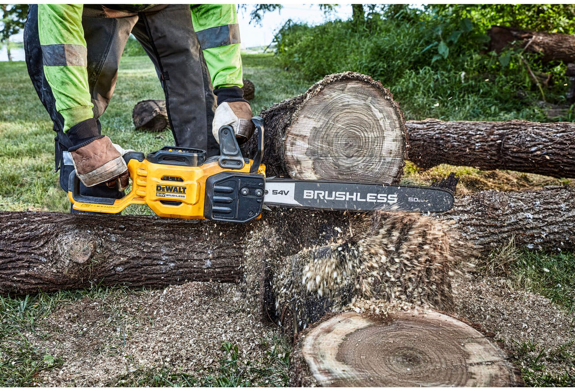 ���� ������ �������������� ����������� DeWALT DCMCS575X1 