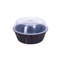 ��i����� VIOLET HOUSE 0888 ������� MIX � ����. 24*14 �� (0888 ������� MIX c ����. 24*14 ��) 