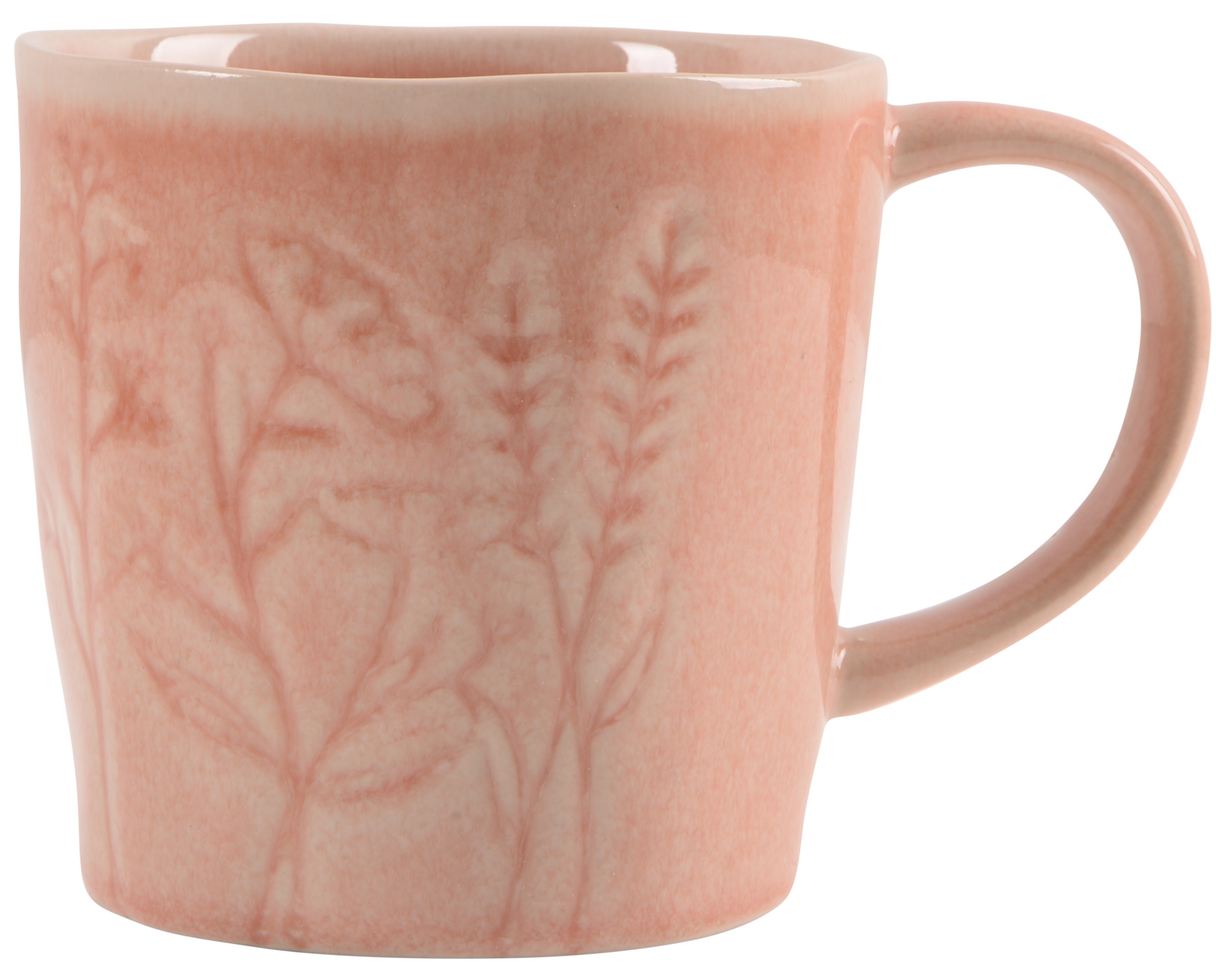����� Limited Edition HERB TERRA /320 �� (E1581-2) 