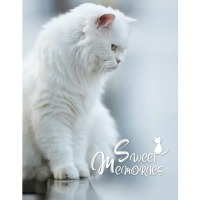 ������ UFO 10x15x200 PP-46200 Pussycat7 