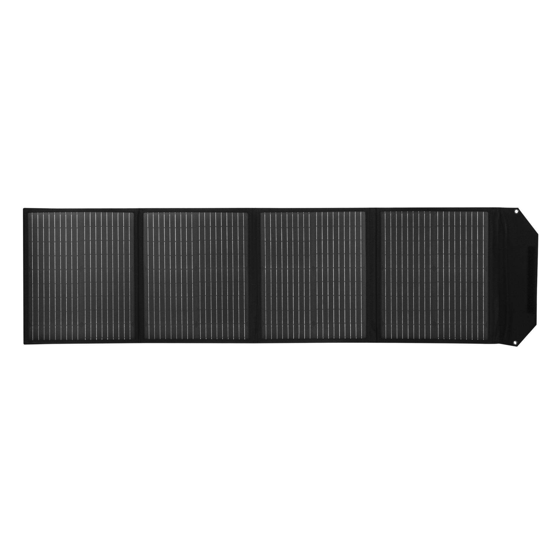 ����������� ��������� ������ LP 100W (DC) 