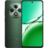�������� OPPO RENO12 F 5G 8/256GB (black green) 