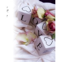 ������ UFO 10x15x200 PP-46200 Love4 