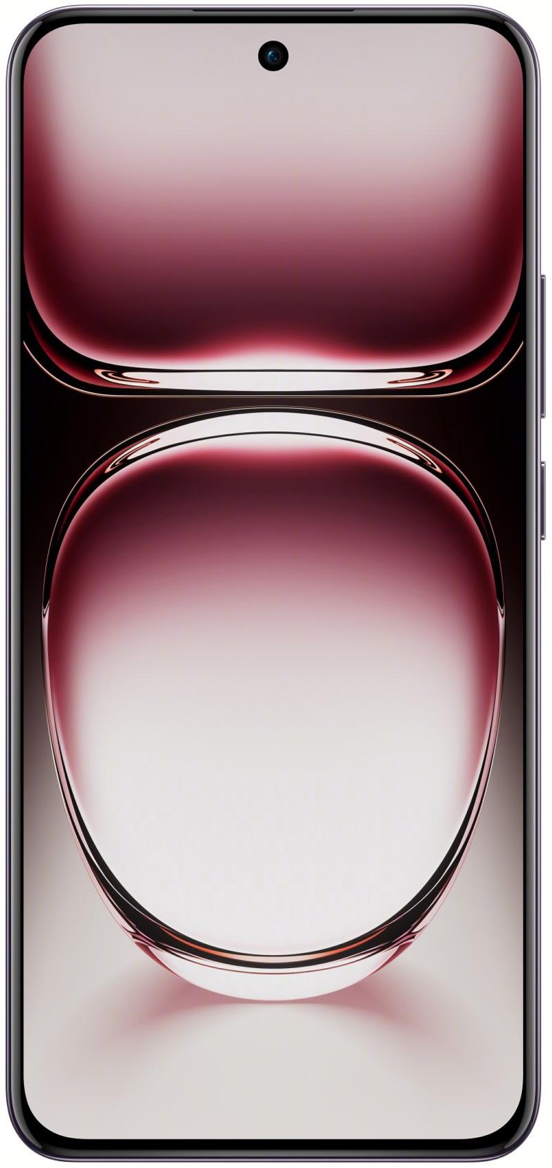�������� OPPO Reno12 Pro 12/512GB (nebula black) 