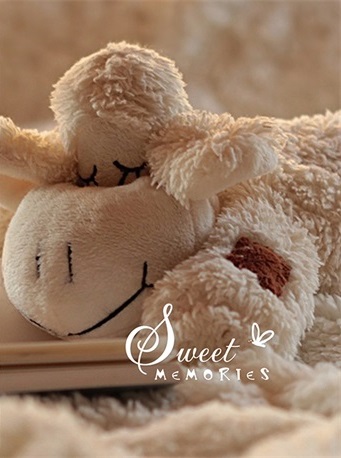 ������ UFO 20sheet S22x32 Lamb 