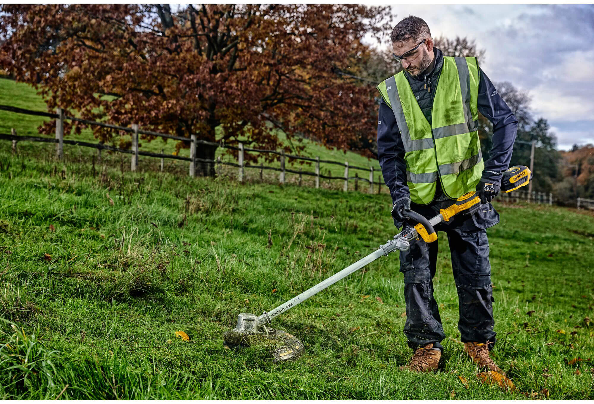 ���� �������������� ����������� DeWALT DCMST561P1 