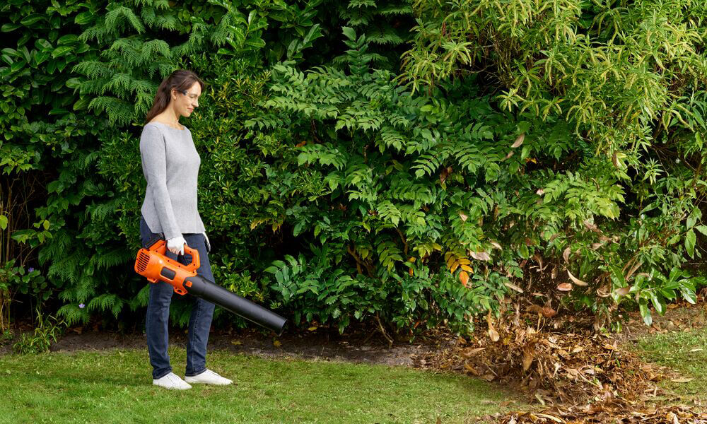 ������������ �������������� BLACK+DECKER BCBL200L 