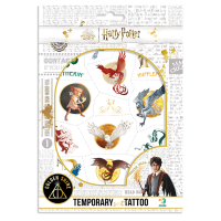 ���� ������� ���������� ��������� Harry Potter 