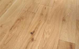 ��� ���� Parador 1377438 