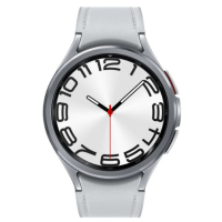 ����� �������� SAMSUNG Galaxy Watch 6 Classic 47mm Silver (SM-R960NZSASEK) 