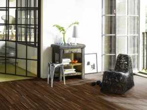 ����������� ��� (�����������) Parador 1257074 