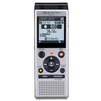 �������� �������� OLYMPUS OM SYSTEM WS-882 Silver (4GB) 