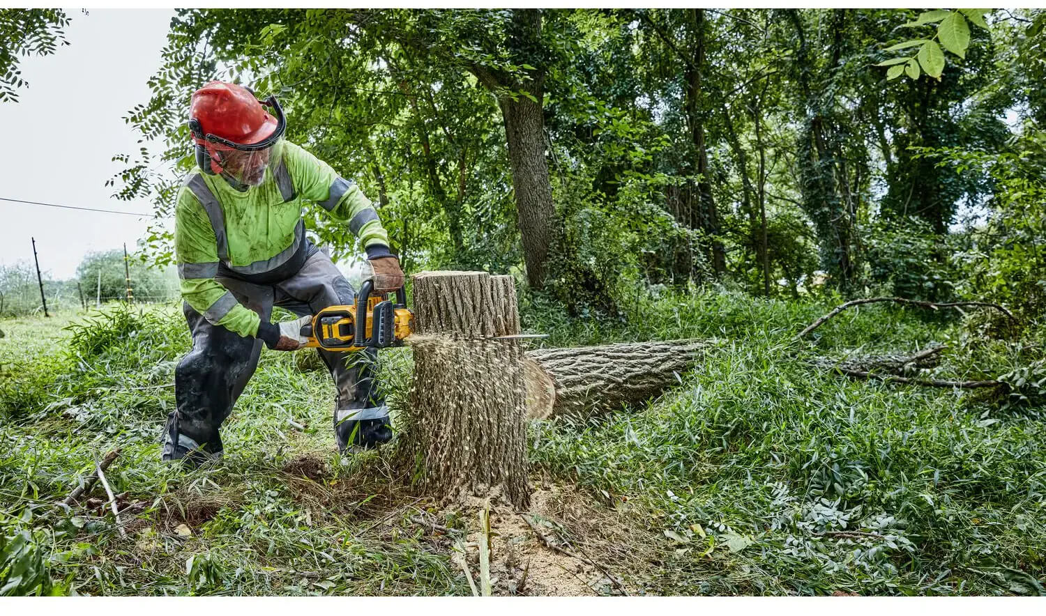 ���� ������ �������������� ����������� DeWALT DCMCS574N 
