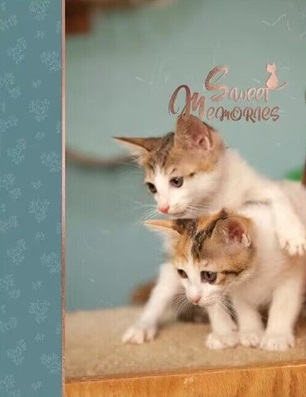 ������ UFO 10x15x200 PP-46200 Pussycat8 