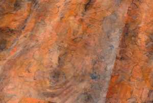 ������� ��������� �������