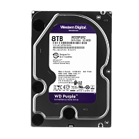 ������� ���� Western Digital 8TB Purple (WD82PURZ) 