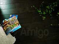 "������ �����" 