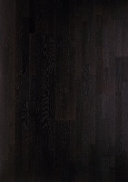 ��� ����� �������� 