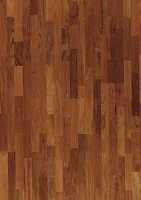 ����� ����� 