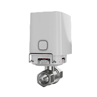 ���� ���������� ���� � ������������� ����������� WaterStop Jeweller 1" (DN 25) (�����) 