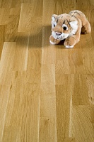 ��������� ����� ������� ������������ ��� ����� 