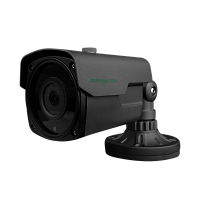 �������� IP ������ GV-063-IP-E-COS50-40 Gray 