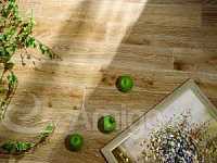 "�������� �����" - ��������� ����� Amigo (�����) 