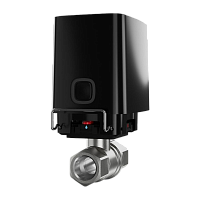 ���� ���������� ���� � ������������� ����������� WaterStop Jeweller 1" (DN 25) (������) 