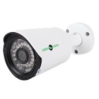 �������� IP ������ GV-061-IP-G-COO40-20 