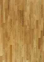 ��� ����������� ����������� ����� 