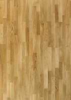 ��� ����������� ����������� ������� 