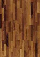 ������ ����� 