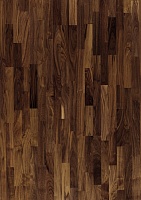 ���� ����� 