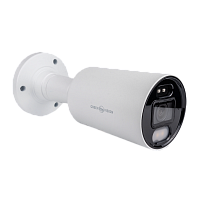�������� IP ������ GreenVision GV-189-IP-IF-COS40-30 LED SD 